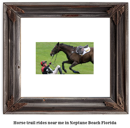 horse trail rides near me in Neptune Beach, Florida